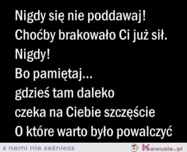 Nigdy się nie poddawaj!