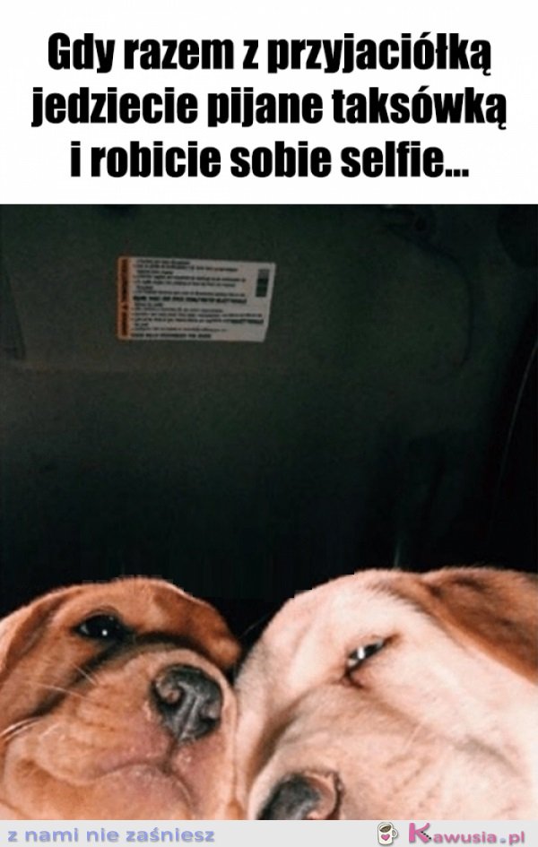 Nic dodać, nic ująć...