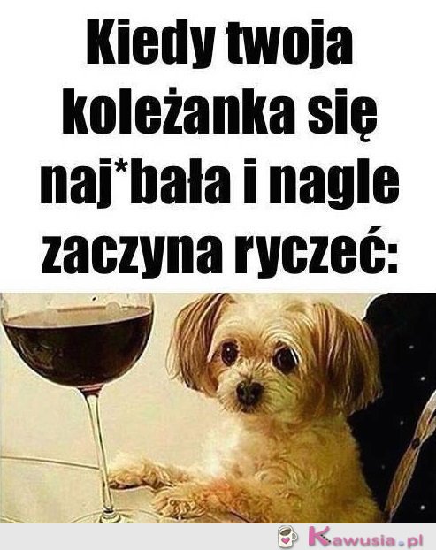 Zaczęło się...