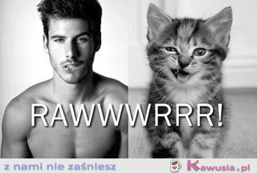 RAWWWRRR!