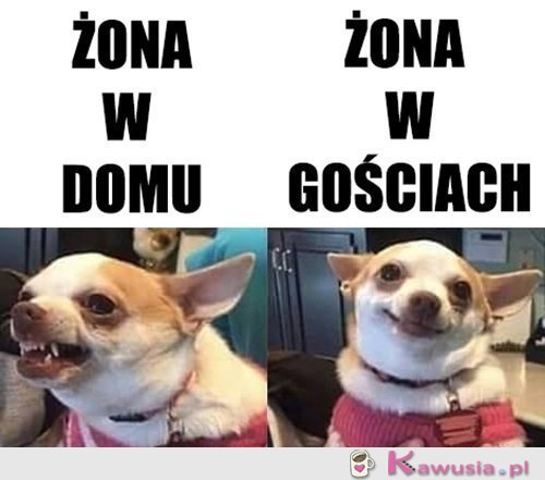 Kobieta zmienną jest