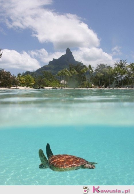 Bora bora - cudownie