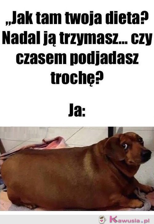 Żartujesz