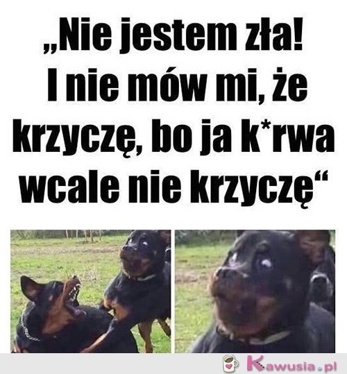 Jestem oazą spokoju