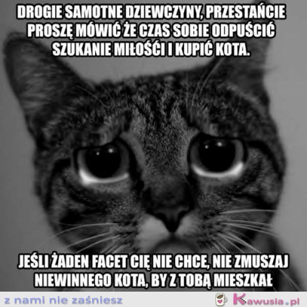 Drogie samotne dziewczyny...