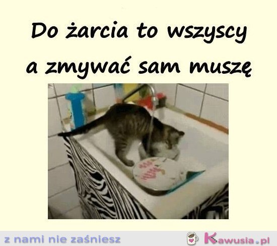 Do żarcia to wszyscy