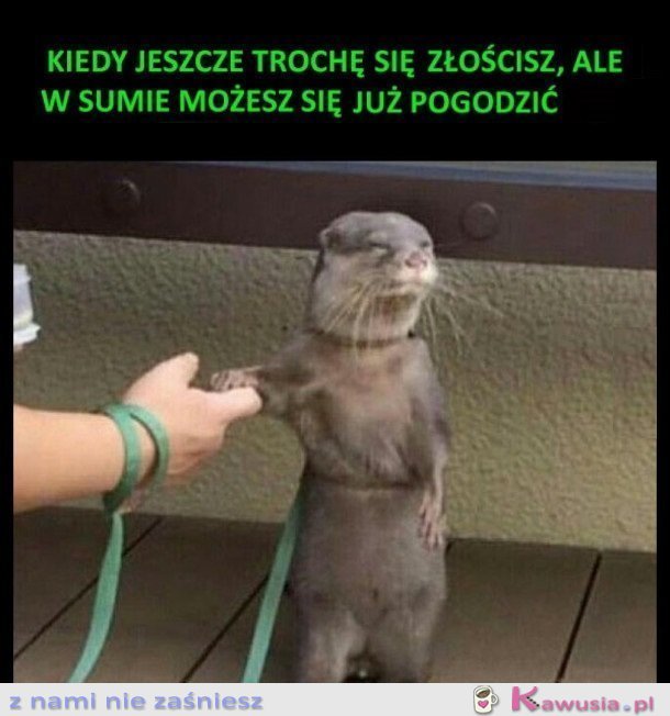 Kiedy jeszcze trochę