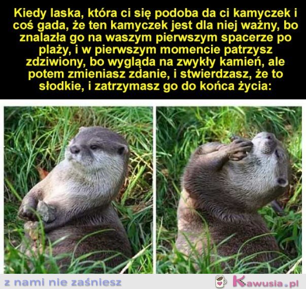 KAMYCZEK