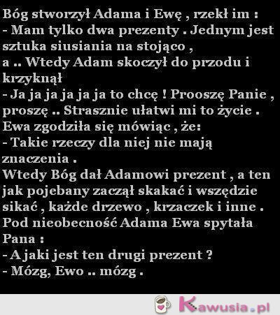 Bóg stworzył Adama i Ewę...