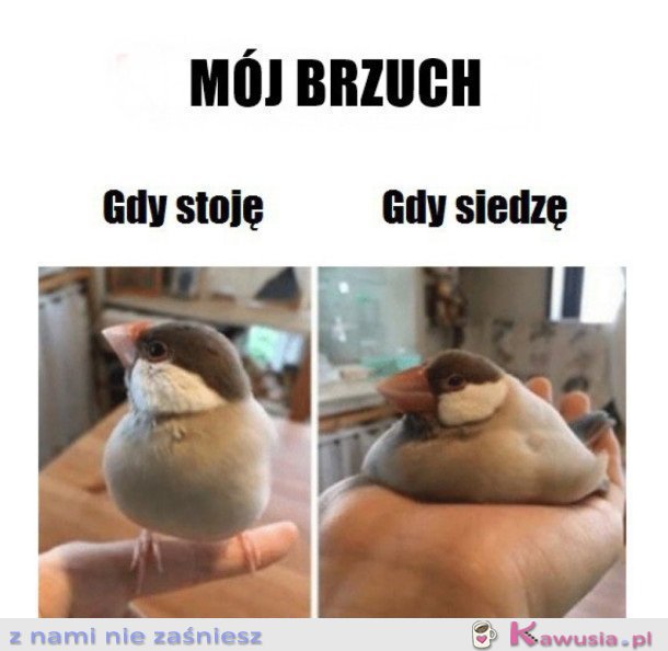 MÓJ BRZUCH