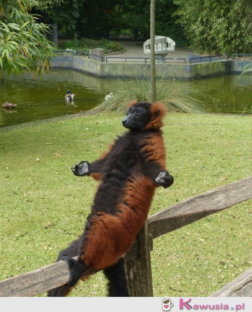 Każdemu potrzebna jest medytacja