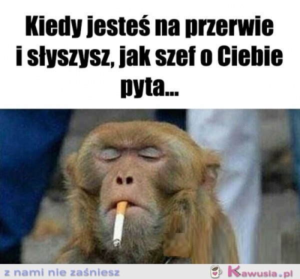 Co znowu...