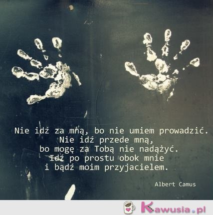 Nie idź za mną, bo nie umiem prowadzić...