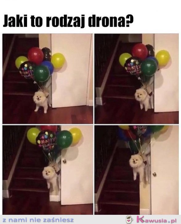 M&oacute;j synek oglądał program o dronach