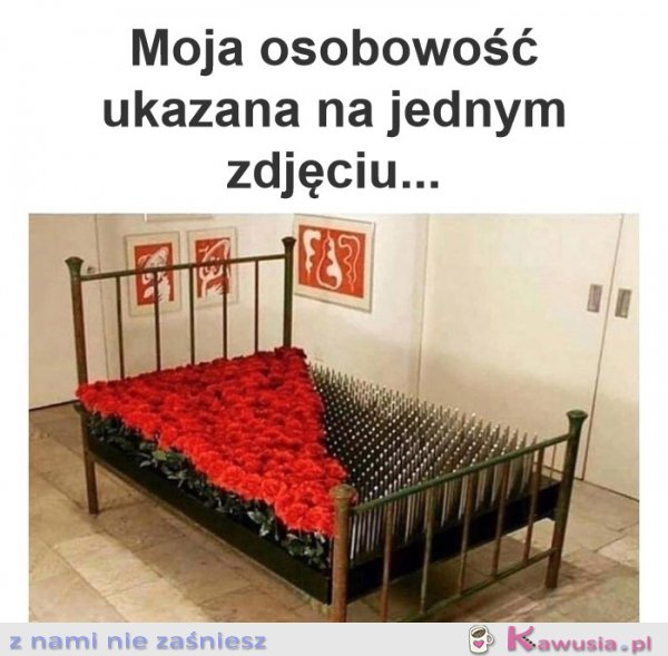 To zdjęcie idealnie ukazuje moją osobowość