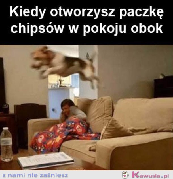 CZY KTOŚ POWIEDZIAŁ CHIPSY