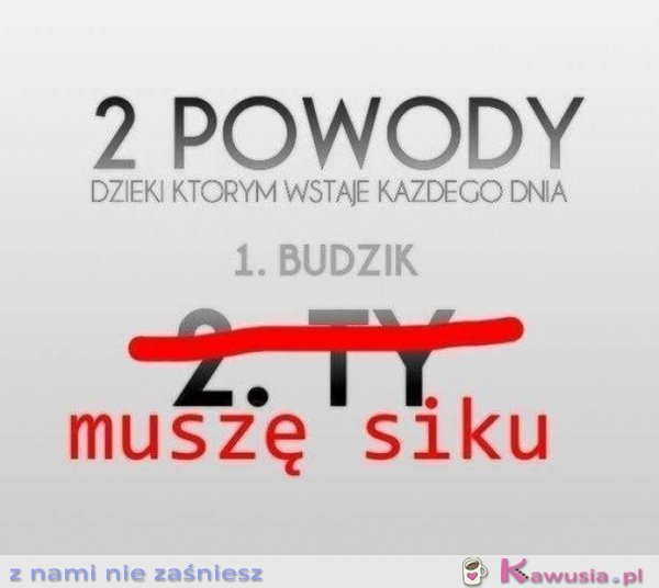 Dwa powody