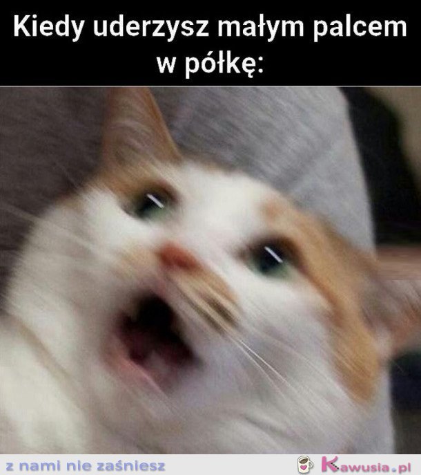 KIEDY UDERZYSZ MAŁYM PALCEM W PÓŁKĘ
