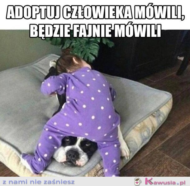 ADOPCJA CZŁOWIEKA