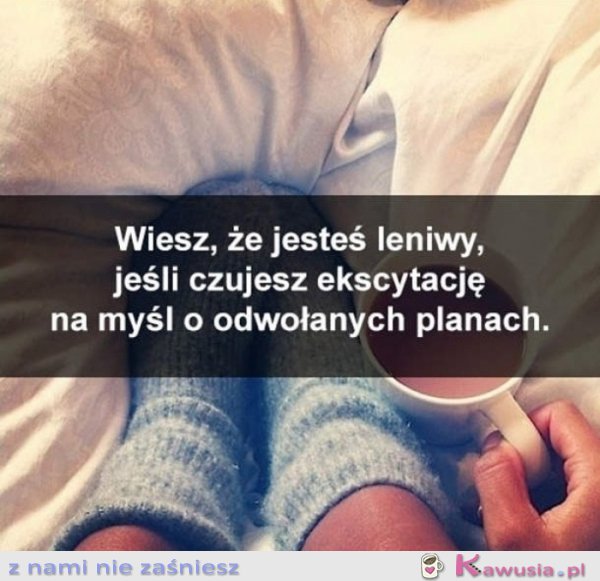 Wiesz, że jesteś leniwy jeśli