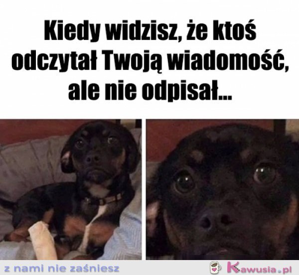 Jeszcze zobaczymy...