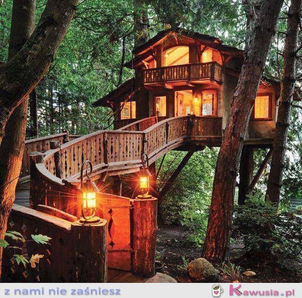 Świetny domek na drzewie
