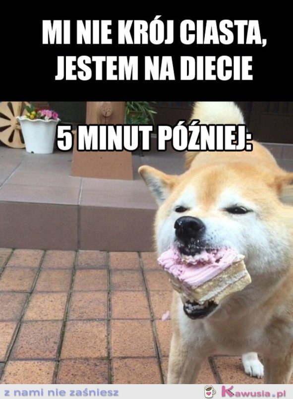 MI NIE KRÓJ CIASTA