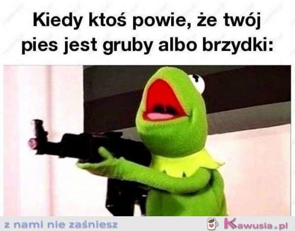 Kiedy ktoś obrazi mojego psa