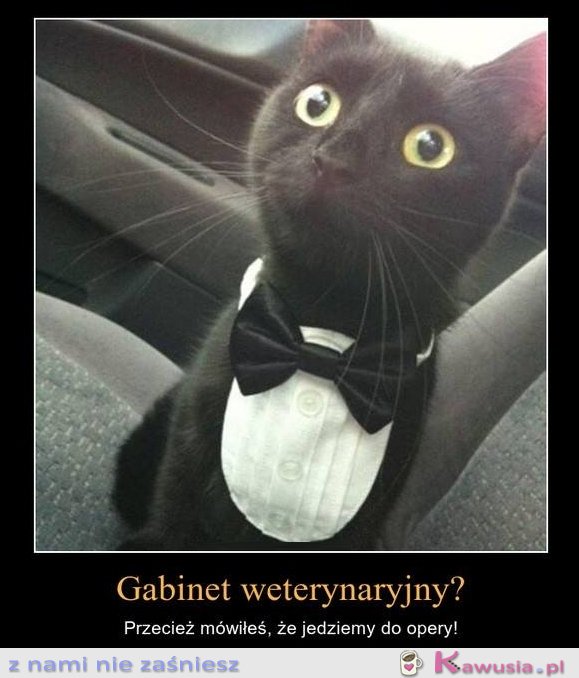 Gabinet weterynaryjny?