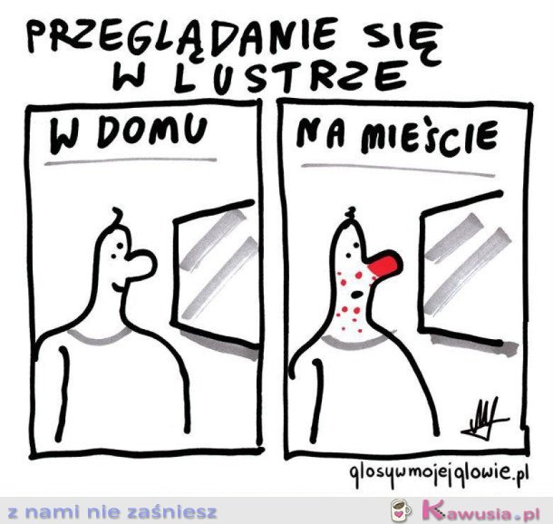 PRZEGLĄDANIE SIĘ W LUSTRZE