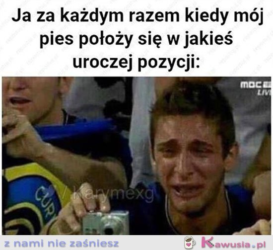 Mój piesek jest taki słodki