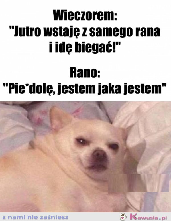 O 6 rano akceptuję siebie jak nigdy...