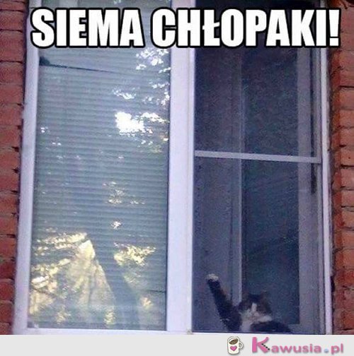 Siemanko...