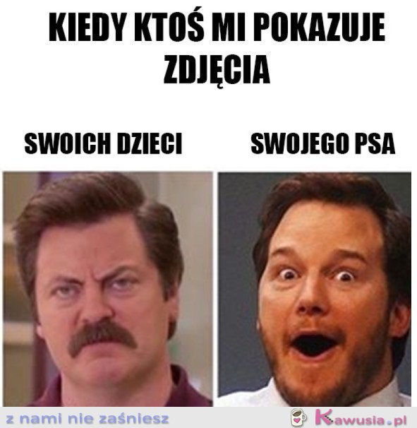 OGLĄDANIE ZDJĘĆ