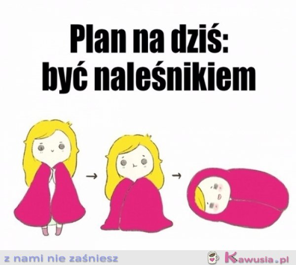 Plan idealny...