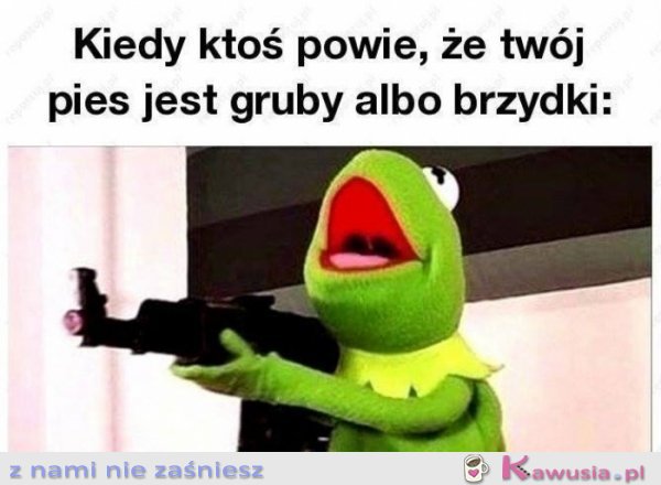 Kiedy ktoś obrazi mojego psa