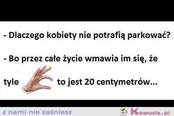 Dlaczego kobiety nie potrafią parkować