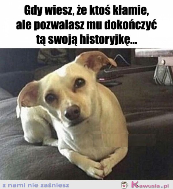 Słucham uważnie...