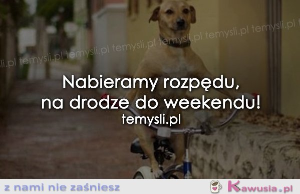 Weekend tuż tuż