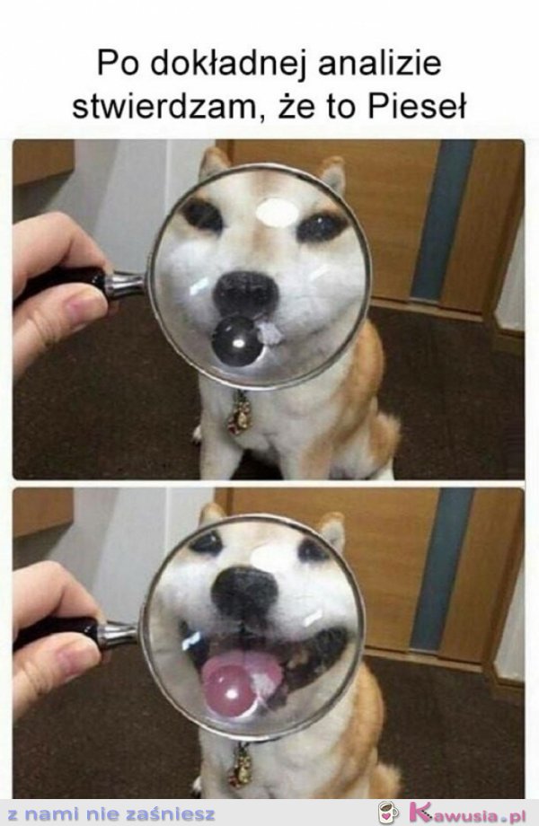 Przeprowadziłam dokładne badania