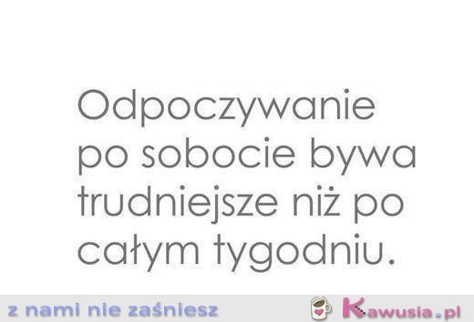 Odpoczywanie po sobocie...