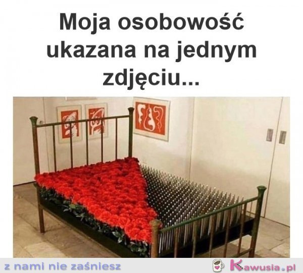 To zdjęcie idealnie ukazuje moją osobowość