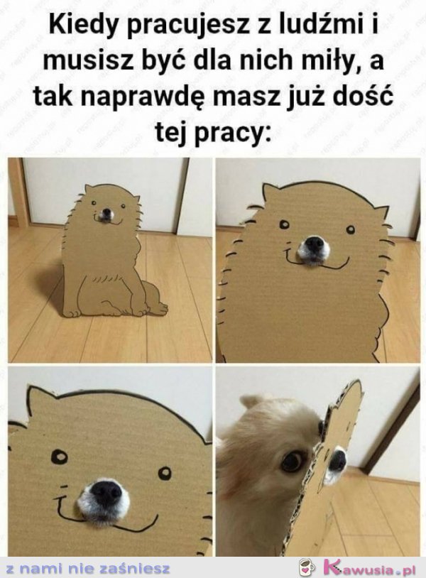 Kiedy pracujesz z ludźmi