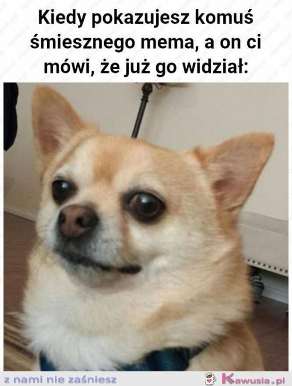 Kiedy pokazujesz komuś mema