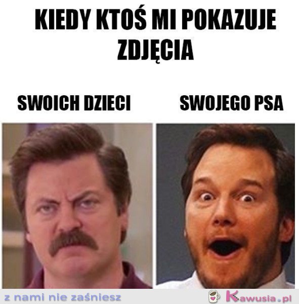 OGLĄDANIE ZDJĘĆ