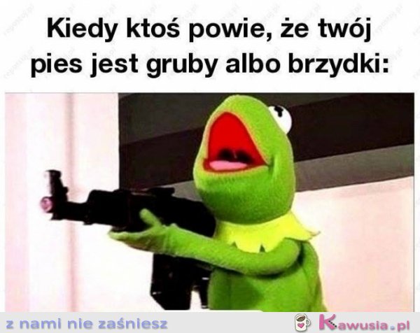 Kiedy ktoś obrazi mojego psa