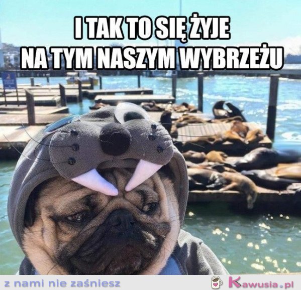 I TAK TO SIĘ ŻYJE