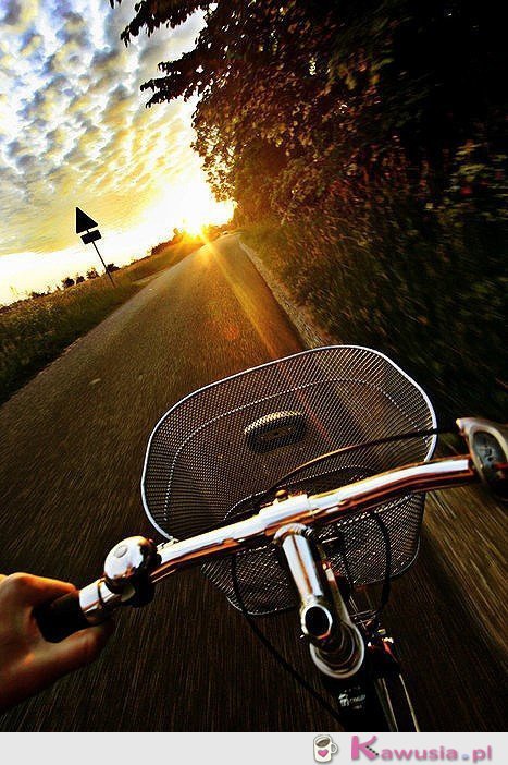 Prosto przed siebie...