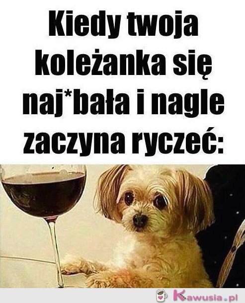 Zaczęło się...