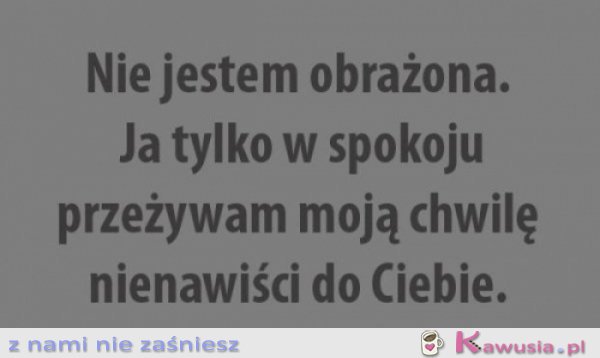 Nie jestem obrażona, ja tylko...